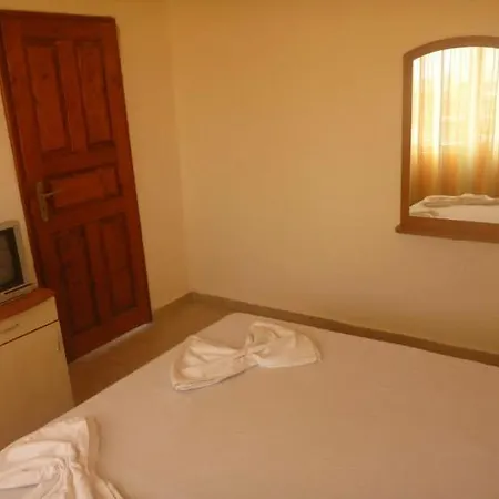 Guest house Bor